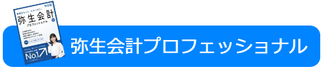 弥生会計プロフェッショナルの見積例